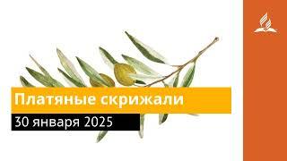 30 января 2025. Платяные скрижали. Под сенью благодати | Адвентисты