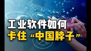 【杨叔洞察】如果工业设计软件被卡，中国有什么后果