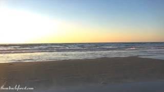 GUIDED MEDITATION: Banishing Stress and Anxiety with Mindfulness