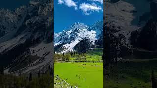 @nature ke diwane #ytshorts #trending #viral#nature#utube