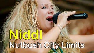 Niddl - Nutbush City Limits, live auf der Donauparkbühne (Tina Turner Cover)