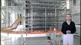 Livi H Type 8 Tiers Automatic Layer Chicken Cage Systems | Large-scale modern raising 30000+ chicken