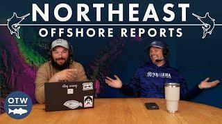 TOPWATER Tuna Before the Blow | Northeast Offshore Fishing Report | September 18th 2024