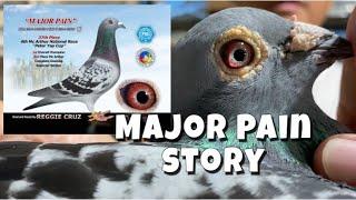 MAJOR PAIN STORY |Reggie Cruz Loft & Aviary #reggiecruzline #reggiecruzloft #racingpigeon