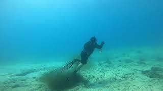 OAHU DIVING JUSTDROP