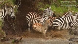 Welcome to Mara Plains - Great Plains Conservation