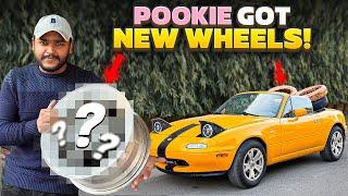 Miata a.k.a Pookie New Look 