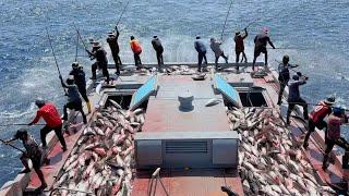 Full video of how we catch skipjack tuna watch till the end 