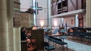 Organist | St Paul's Cathedral | Dunedin | New Zealand