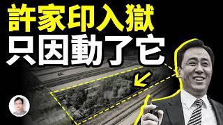 許家印首富變首負的原因：動了不該動的東西，陷入「困龍局」！【文昭思緒飛揚421期】