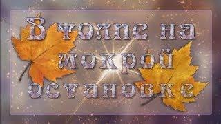 В толпе на мокрой остановке