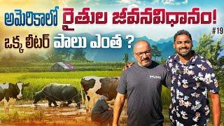 Daily Village Life Farming In California America  | Uma Telugu Traveller