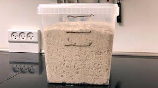 How do you mark and monitor growth in bulk fermentation? | Foodgeek Baking