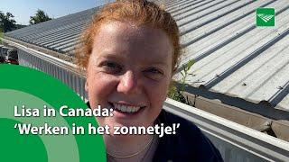 Lisa in Canada: ‘Werken in het zonnetje!’