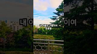 내 이름은 구름이여 #조용필 #추억의노래 #감성힐링tv