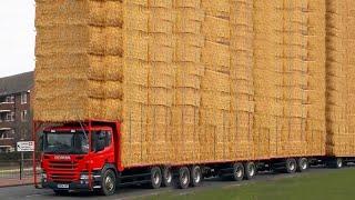 Adventures in High-Tech Cow Milking Unconventional Transport Bales and a Charming Farmer