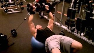 CHEST FLY PRESS