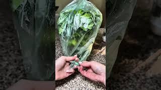 The best hacks for the home #Home #homeideas #cleaning #tutorial #lifehacks #shorts