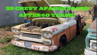 SAVING A COOL 1959 CHEVY APACHE FROM A COW PASTURE!