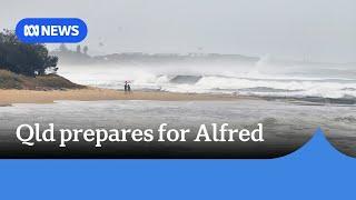 Warnings Cyclone Alfred could hit 'in the middle of the night' Thursday | ABC NEWS