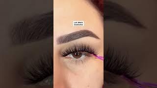 Mink Lashes  3D Mink False Eyelashes  Fluffy Mink Lashes  Goodylashes