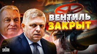 ЕС прижал Фицо и Орбана! Путинским дружкам перекрыли российский газ — Москва в шоке