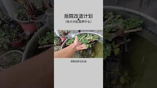 养肥了才好吃嘛，你们觉得大水缸里除了金鱼还需要养点啥？ #快手小剧场