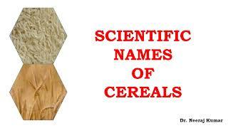 Scientific or botanical names of Cereals