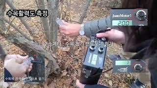 나무의사 - 수목활력도 측정 도구