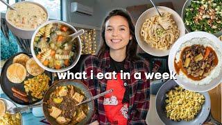 A Week of Realistic Vegan Meals / Cozy & Nourishing