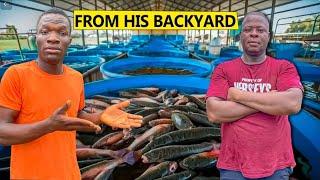 How a Nigerian Businessman Is Turning His Backyard To a Mega Fish Farm