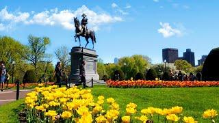 Boston Public Garden May 2023