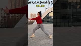 56式太极拳经典招式#陈氏太极拳 #太极拳 #中华武术博大精深 #武术 #强身健体正能量 ©诩小侠