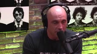 Joe Rogan talks about wasting life on jobs you hate