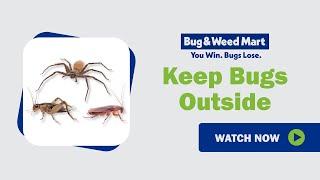 How to Keep Bugs Out of Your Home