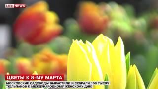 Цветы к 8-му марта