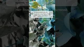 Тебе срочное сообщение!️ Лови удачу! #знаки_вселенной #shorts #мечта #сила #победа #успех
