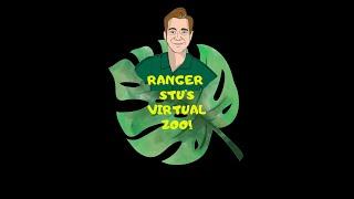 Ranger Stu's Virtual Zoo - Week 1 - Rainforests