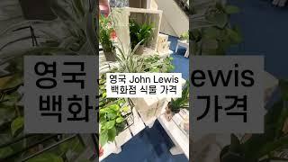 영국 백화점에서는 식물도 판다!!#런던#식물쇼핑#JohnLewis#식집사