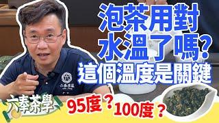 【六奉茶學】泡茶用對水溫了嗎？這個溫度是關鍵！不同茶葉適合的熱泡溫度