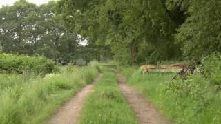 Nature Ambience: Old Country Trail with Bird and Cattle Sounds