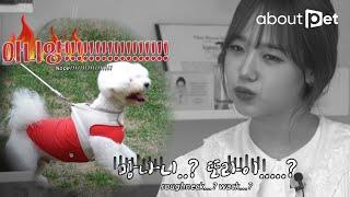 The reason why Choi Yoo-jung met an animal behavior specialist (Ep.2)