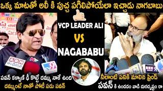 War Of The Words Between YSRCP Leader Ali vs Nagababu | Pawan Kalyan | Telugu Cinema Brother