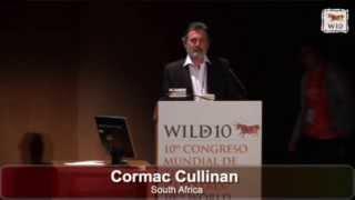 WILD10 Global Gathering Presentation: Cormac Cullinan