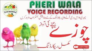 Chozay Bechne Ki Awaz | Choochy | Pheri Wala Voice Recording 2022