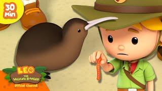 BIRD THAT LOOKS LIKE A FRUIT?!  | Small Birds | Leo the Wildlife Ranger | Kids Cartoon