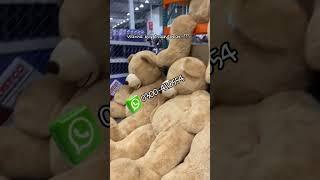 large American design Teddy Bears online shopping Pakistan 03004110554