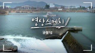 [영상스케치] 금호강, 철새들의 겨울나기