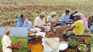 माळातल्या भुईमुगाच्या शेंगा कडून झाल्यावर सगळी गडीमाणसं रानातच बसुन जेवलो |VillageVlog|Tatyacha Mala