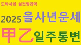 2025년 을사년운세   -갑을일주 통변 -